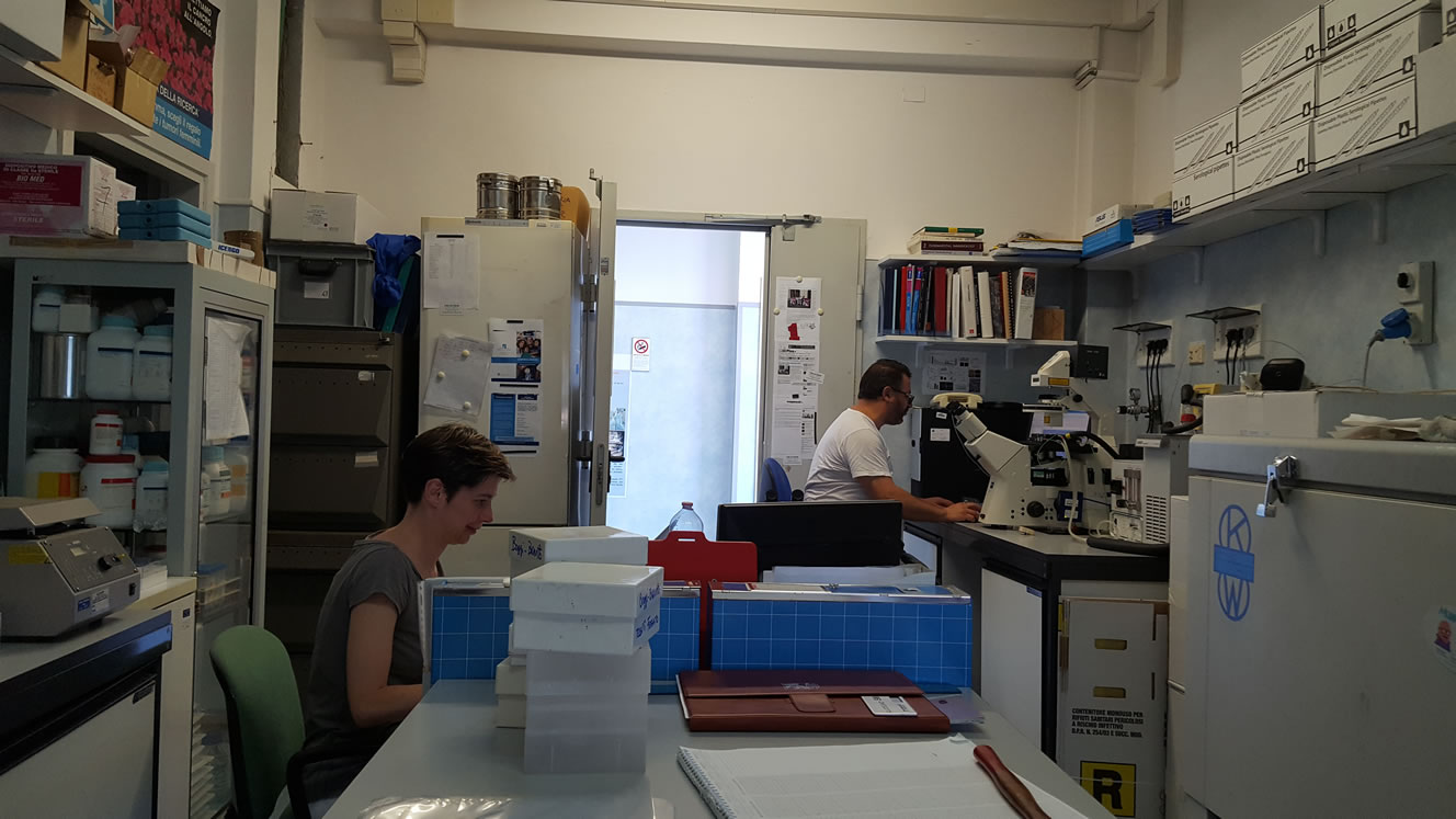 Elisa Giovannetti and Niccola Funel in the lab