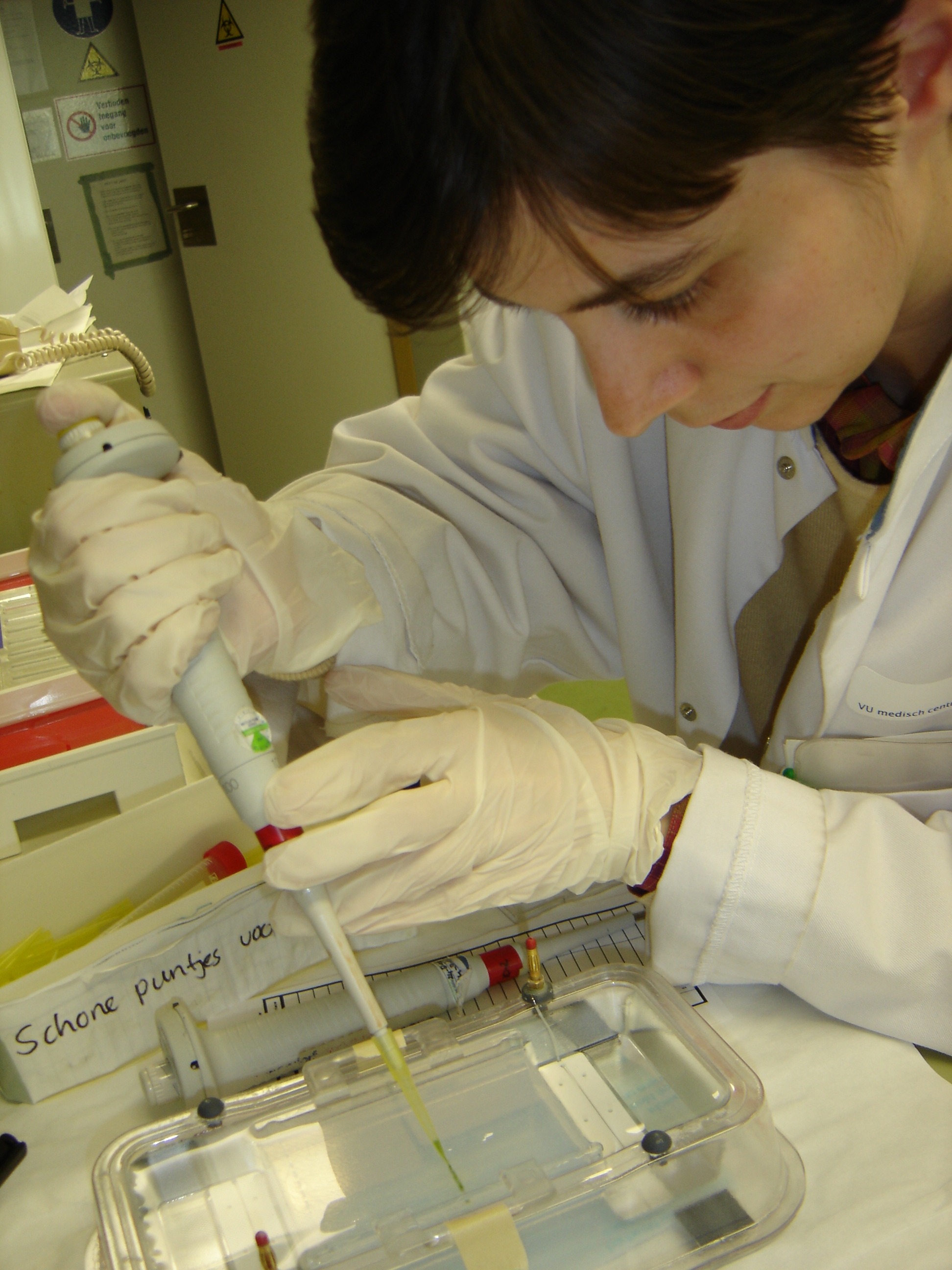 Working on a PCR with gel-electrophoresis