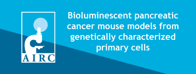 Bioluminescent pancreatic cancer mouse models from genetically characterized primary cells