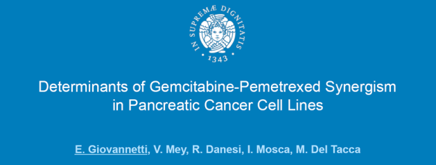 Determinants of Gemcitabine-Pemetrexed Synergism in Pancreatic Cancer Cell Lines