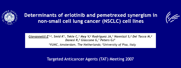 Determinants of erlotinib and pemetrexed synergism in non-small cell lung cancer (NSCLC) cell lines