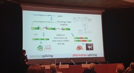 Dr. Giovannetti presentation at PAMM 2019