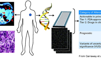 Genetic profiling and pharmacogenetics