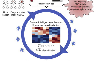 Cancer Cell paper on “Swarm Intelligence-Enhanced Detection of Non-Small-Cell Lung Cancer Using Tumor-Educated Platelets”