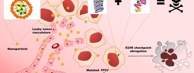 Our News&Views paper on Nature Nanotechnologies