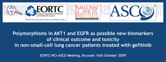 Polymorphisms in AKT1 and EGFR as possible new biomarkers of clinical outcome and toxicity in non-small-cell lung cancer patients treated with gefitinib