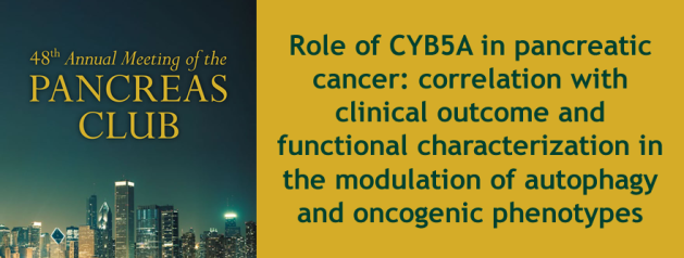 Role of CYB5A in pancreatic cancer: correlation with clinical outcome and functional characterization in the modulation of autophagy and oncogenic phenotypes