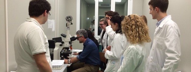 Ricerca sul cancro, dall’università alle scuole: un progetto per avvicinare alla ricerca medico-scientifica gli studenti delle superiori