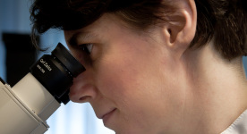 With our lab microscope